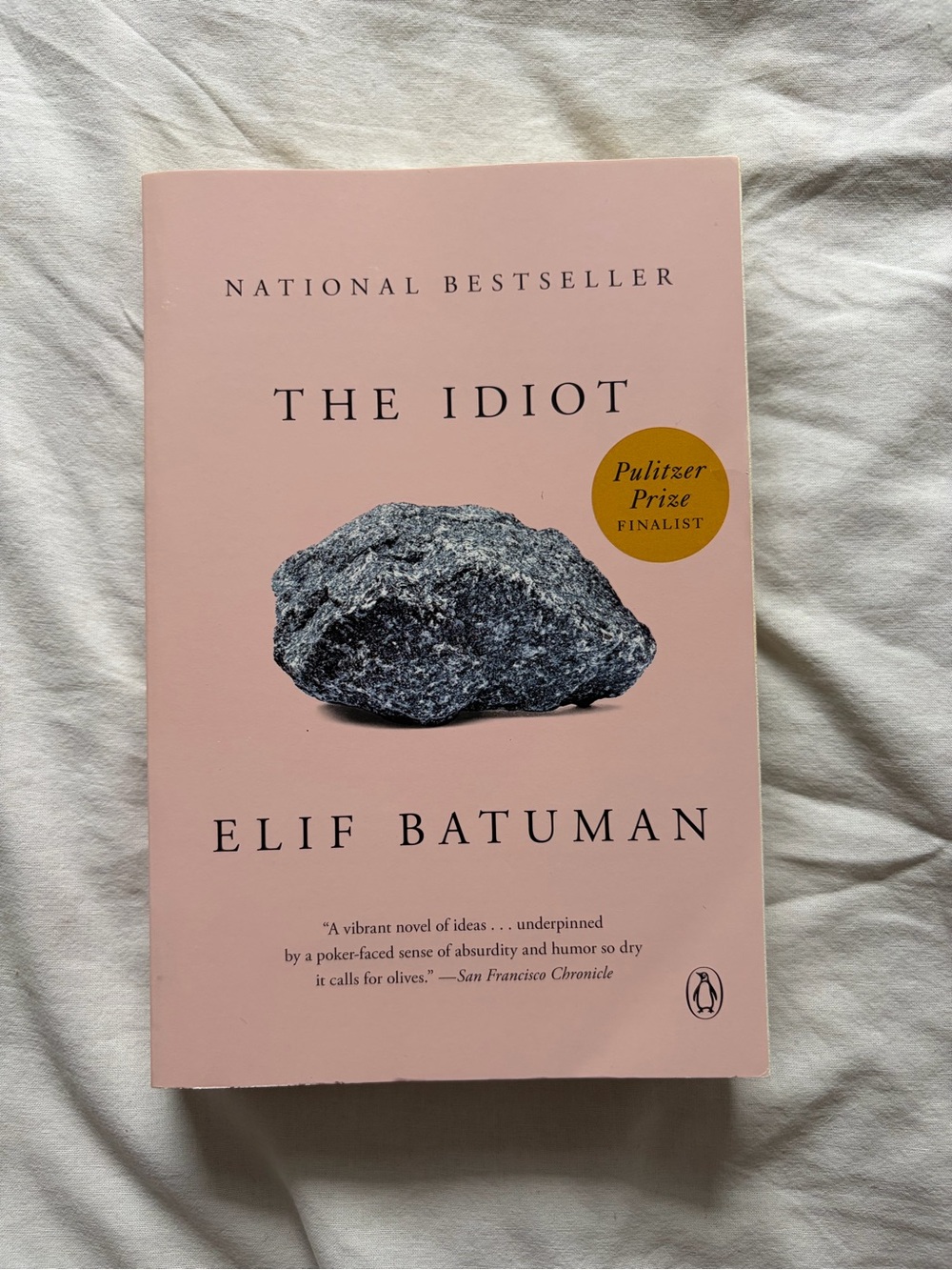 The Idiot book - Elif Batuman